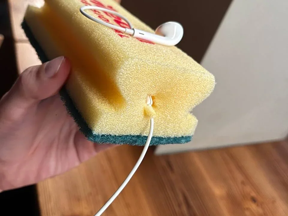 Apple EarPods (Wired)